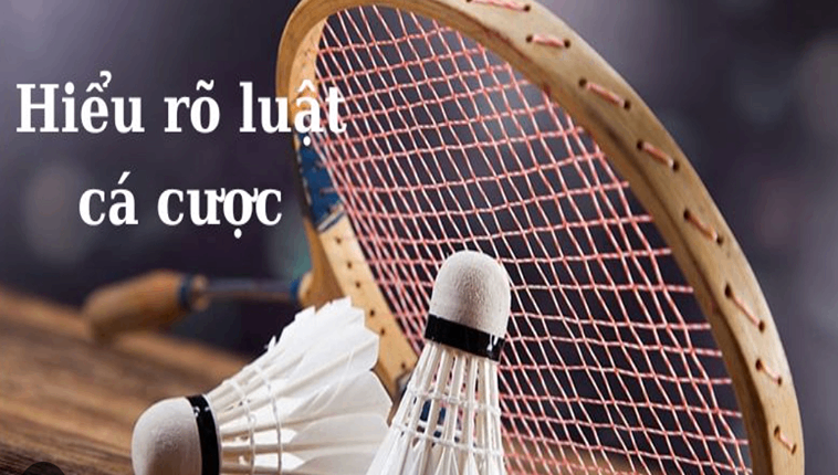 Hướng Dẫn Chơi Cá Cược Cầu Lông Tại PK14 - Bí Quyết Thắng 2 Hướng Dẫn Chơi Cá Cược Cầu Lông Tại PK14 - Bí Quyết Thắng