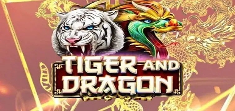 Trải Nghiệm Dragon Tiger Tại PK14: Cảm Hứng Và Chiến Thuật