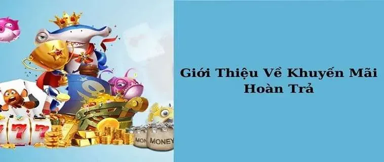 Khám Phá Ưu Đãi Hoàn Trả Không Giới Hạn Tại Nhà Cái PK14 2 Khám Phá Ưu Đãi Hoàn Trả Không Giới Hạn Tại Nhà Cái PK14